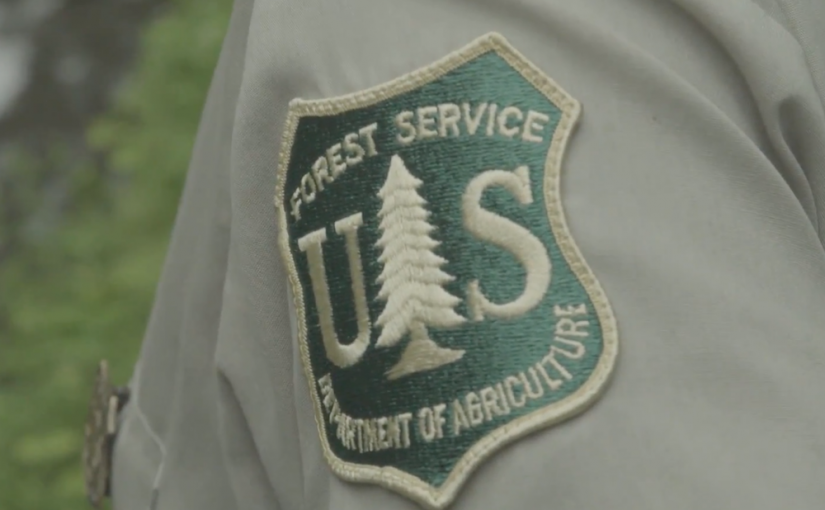 Trabaja con el Servicio Forestal