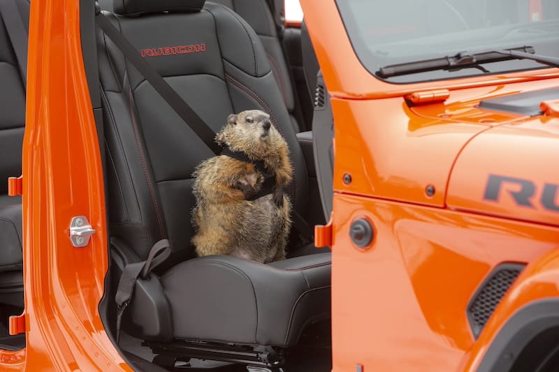 Groundhog Day